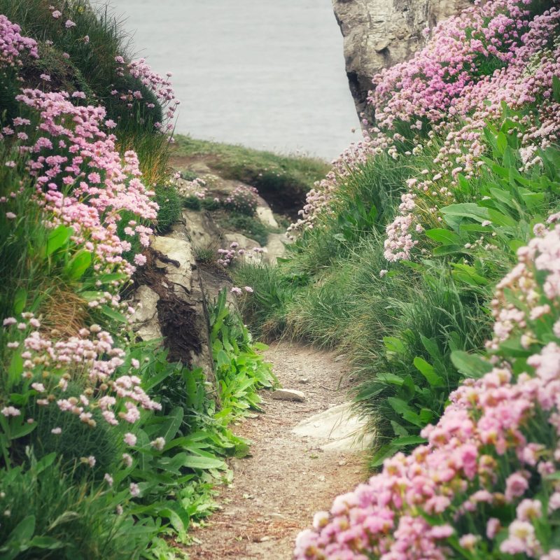 Chemin1