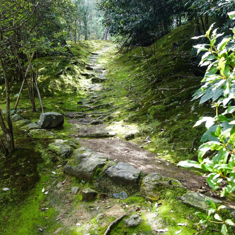 Chemin2